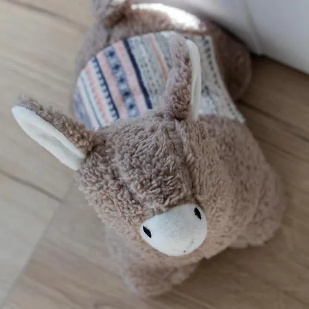 Cztery Pory Roku By Renters * Kołobrzeg